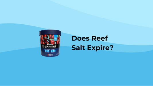 How Long Does Reef Salt Last?