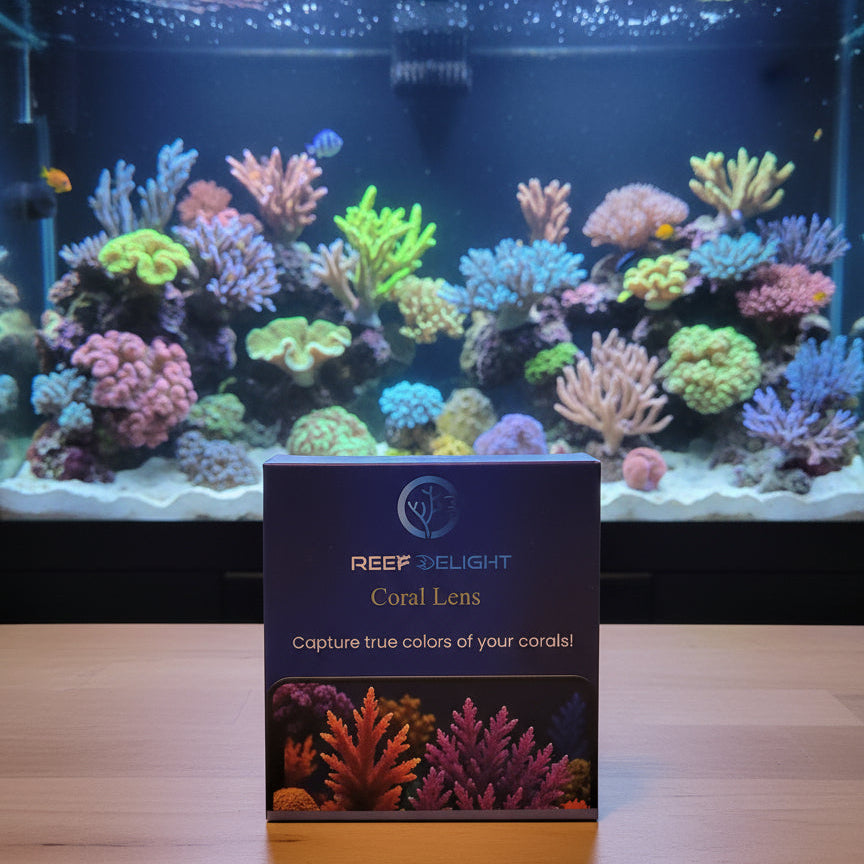 Reef Delight coral lens packaging with coral images on a beige background