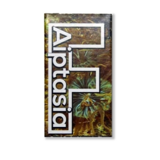 F-Aiptasia - Reef Safe Aiptasia Fix - 1oz