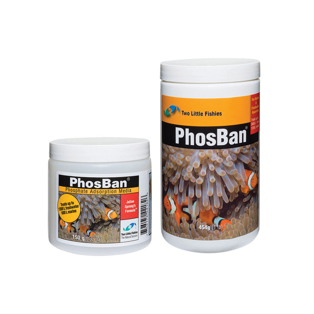 A closer look at Phosphate Absorption In Aquariums