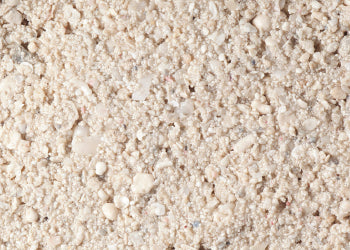 Caribsea Ocean Direct Caribean Live Sand 20lb