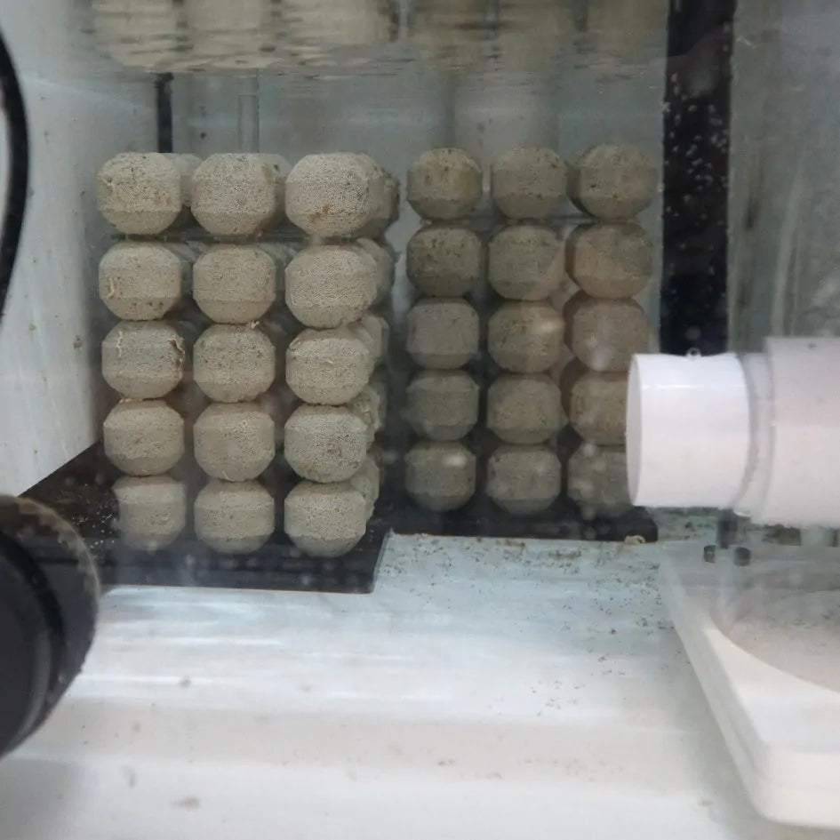 Icecap Bio-Sphere and Media tower Bundle