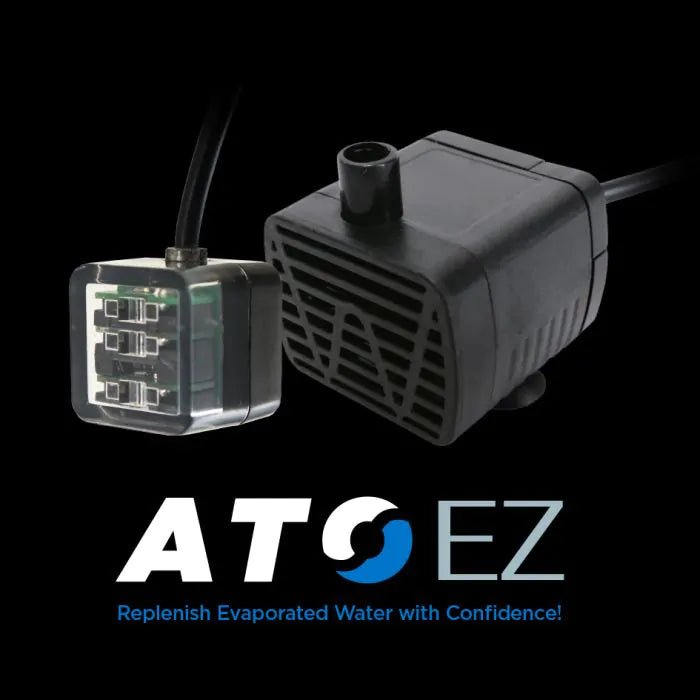 ATO EZ, by IceCap - Keepin' it Reef