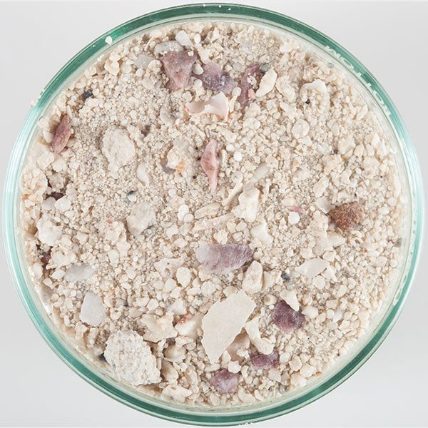CaribSea Arag-Alive, Aquarium Sand 20lb bags - Keepin' it Reef