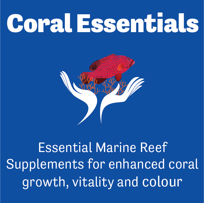 Coral Essentials, Coral Power Trace A - Keepin' it Reef