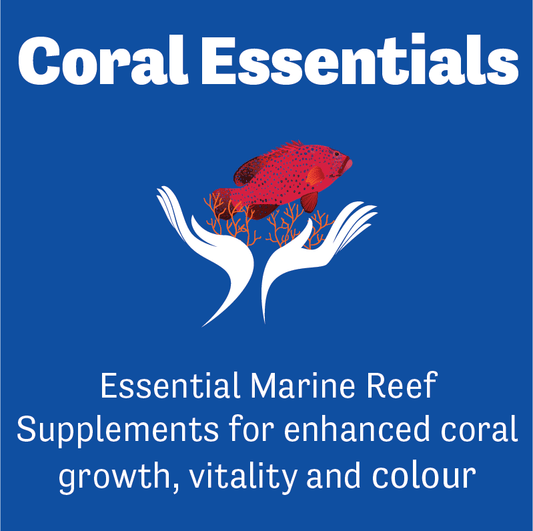 Coral Essentials, Coral Power Trace A - Keepin' it Reef