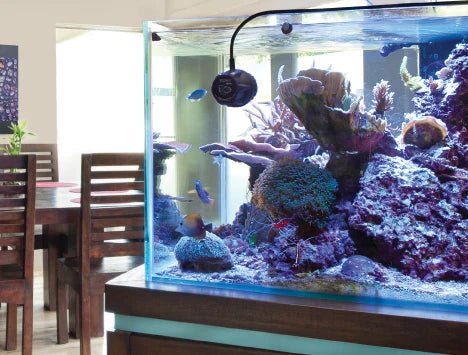 Ecotech, VorTech MP10W - Keepin' it Reef