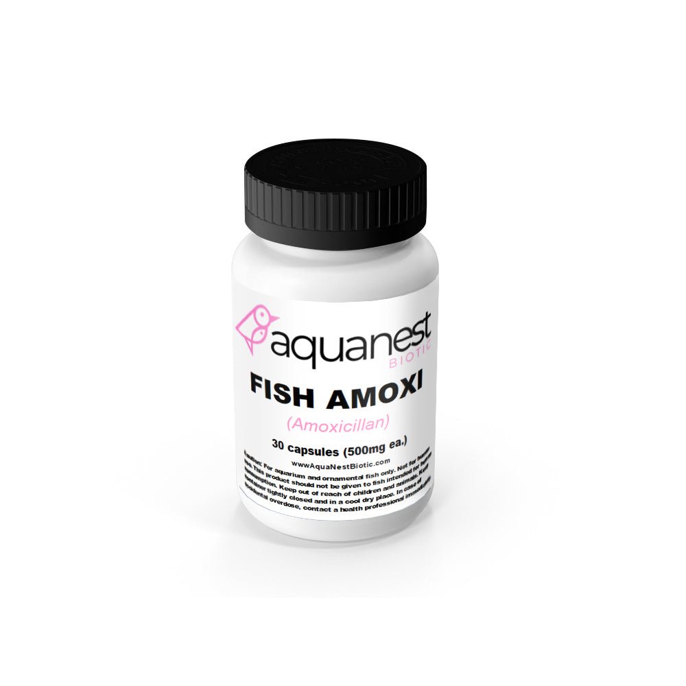 Fish Amoxi 100CNT/500MG - Keepin' it Reef