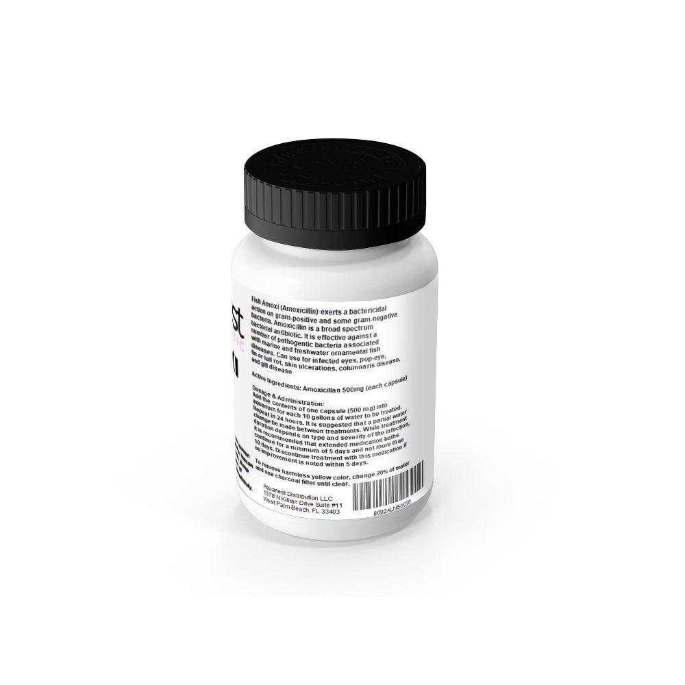 Fish Amoxi 100CNT/500MG - Keepin' it Reef