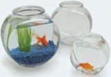 Glass Fish Bowl, Drum Style, 1 Gallon - Keepin' it Reef