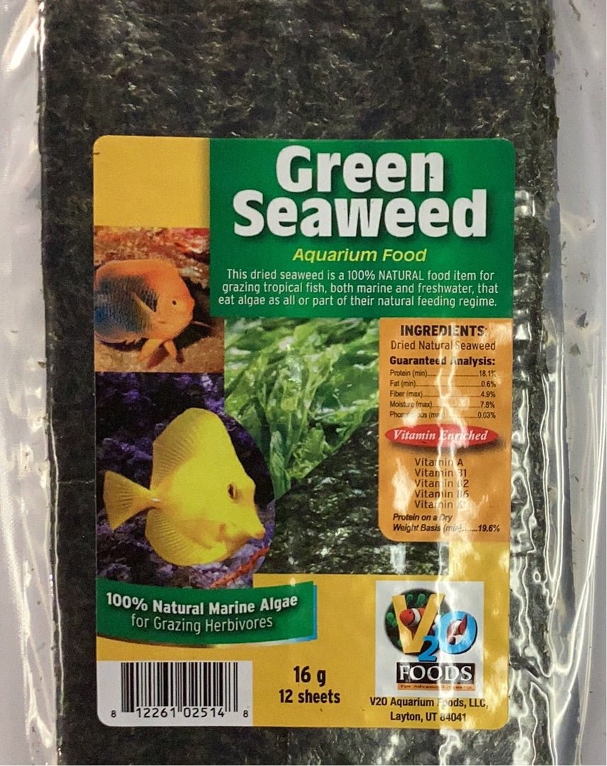 Seaweed & Raine: Blue Goo