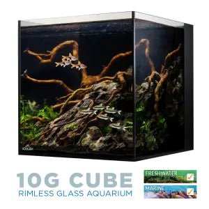 IceCap 10G AIO Aquarium - Keepin' it Reef