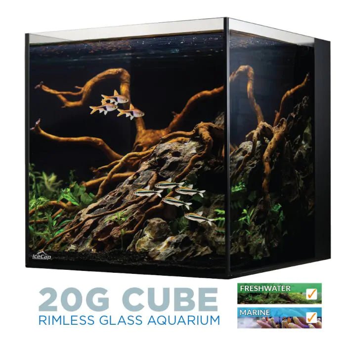 IceCap 20G AIO Aquarium - Keepin' it Reef