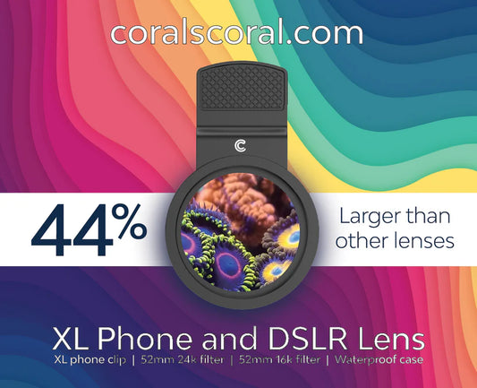 Corals coral Phone lens kit