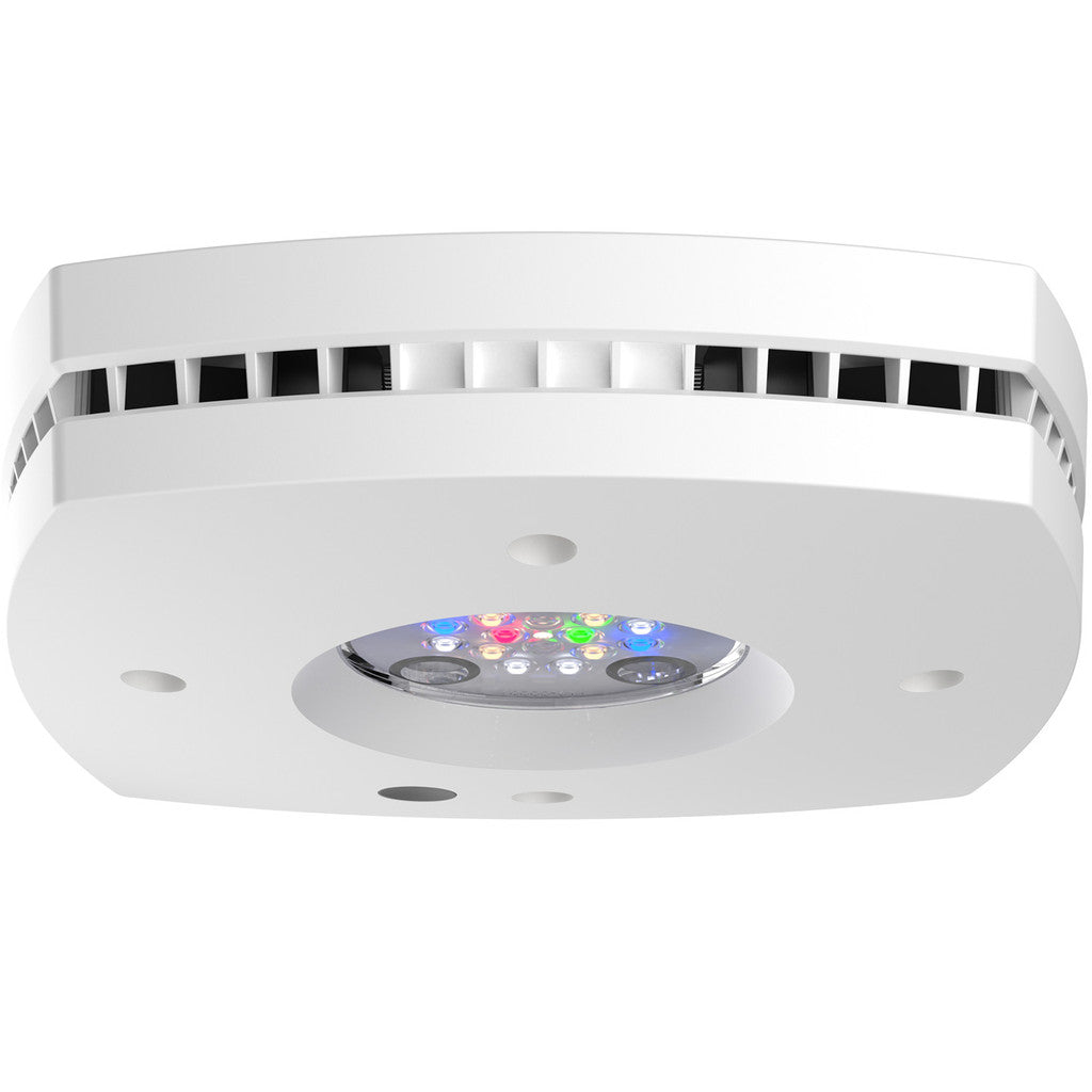 AI Hydra Prime 16 HD Freshwater LED Module - White Body