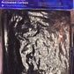 JBJ Activated Carbon, High-Performance Media Pad - Keepin' it Reef