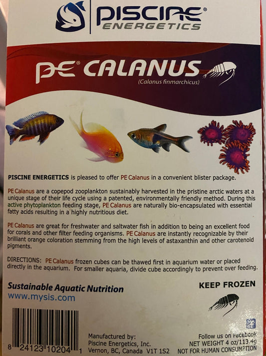 PE Piscine Energetic Calanus 4oz, Frozen food - Keepin' it Reef